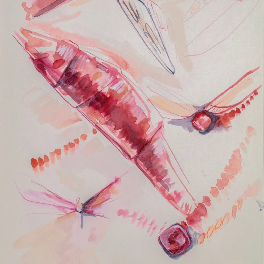 The dragonfly sketch