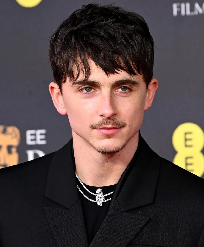 Timothée Chalamet in Cartier