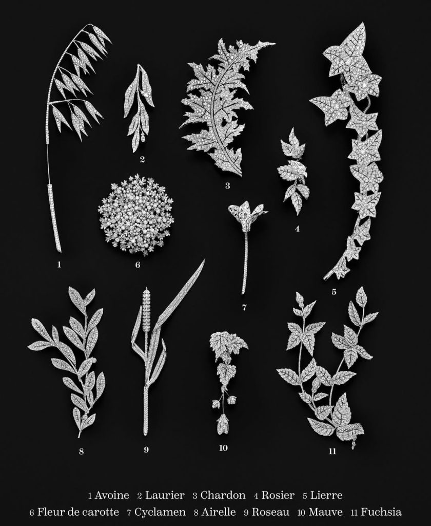 The Untamed Nature
