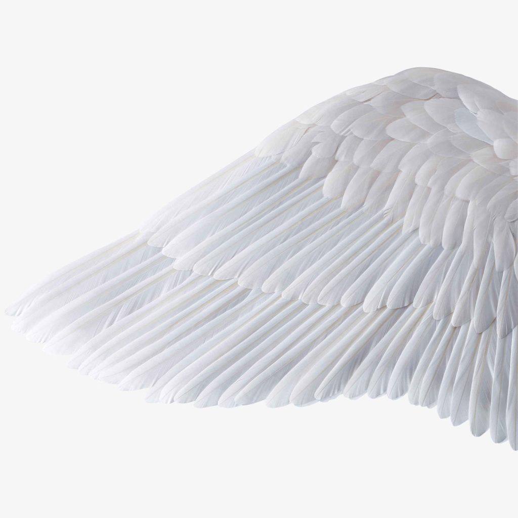 real feathers wings on crystal horse