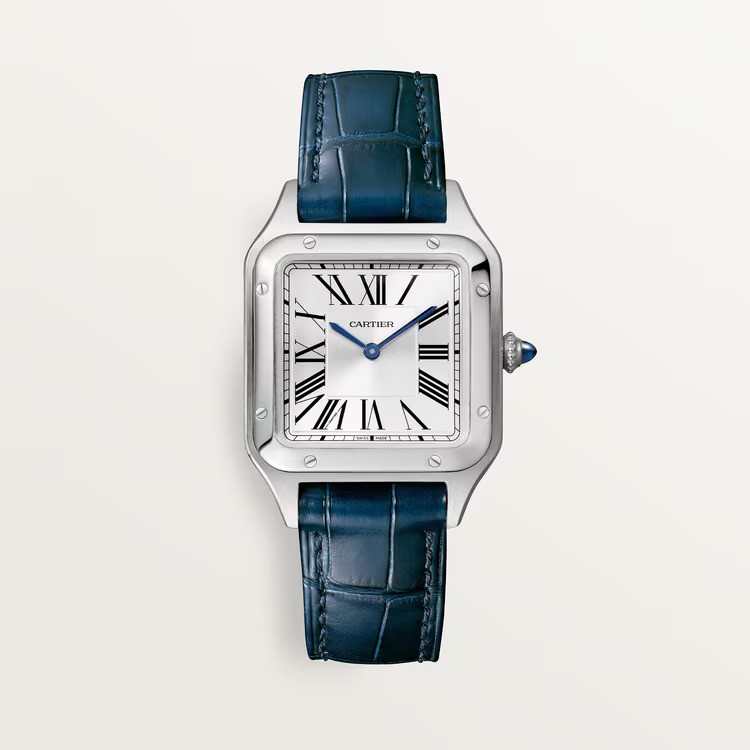 cartier santos-dumont watch
