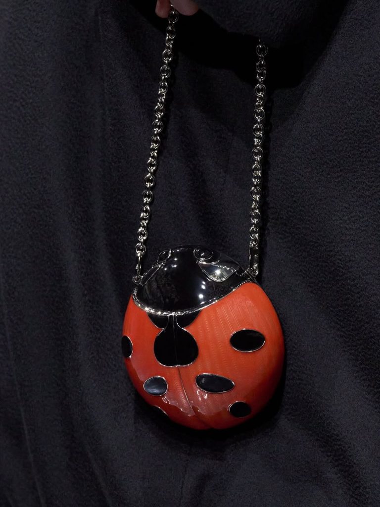 dior ladybug bag