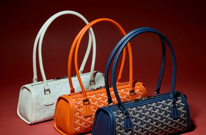 the-goyard-bonbonniere-handbag-sewelo