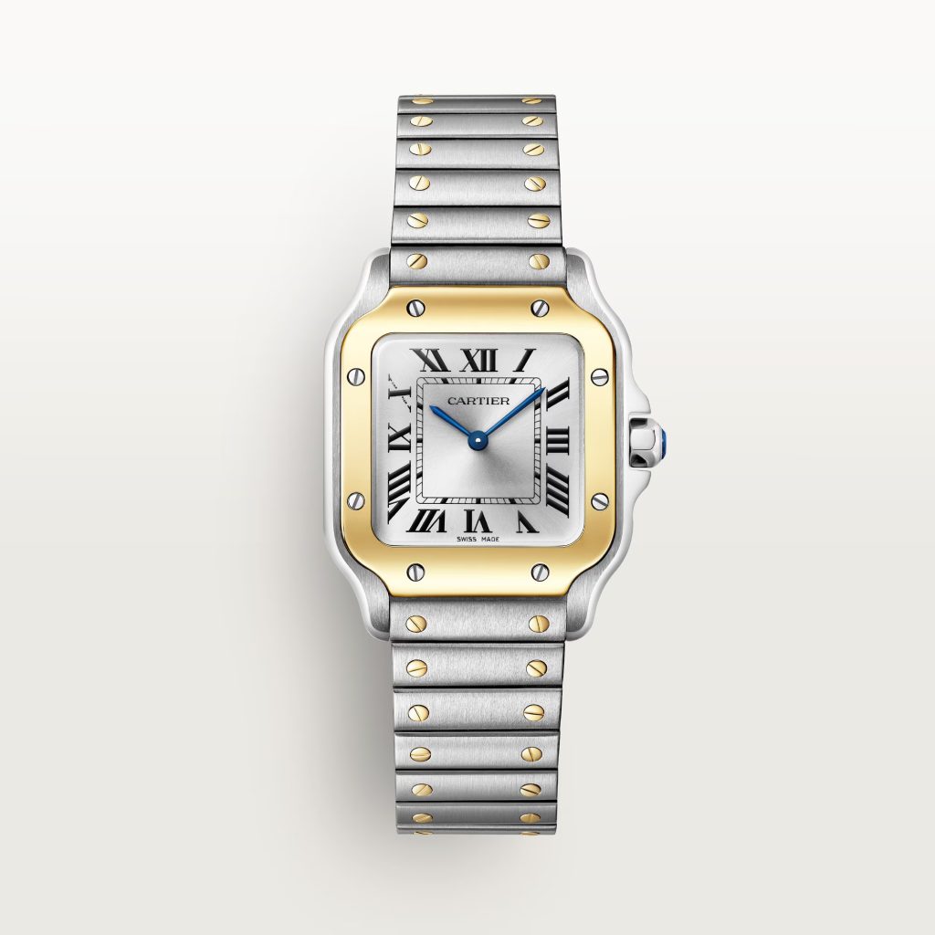 santos de cartier watch 