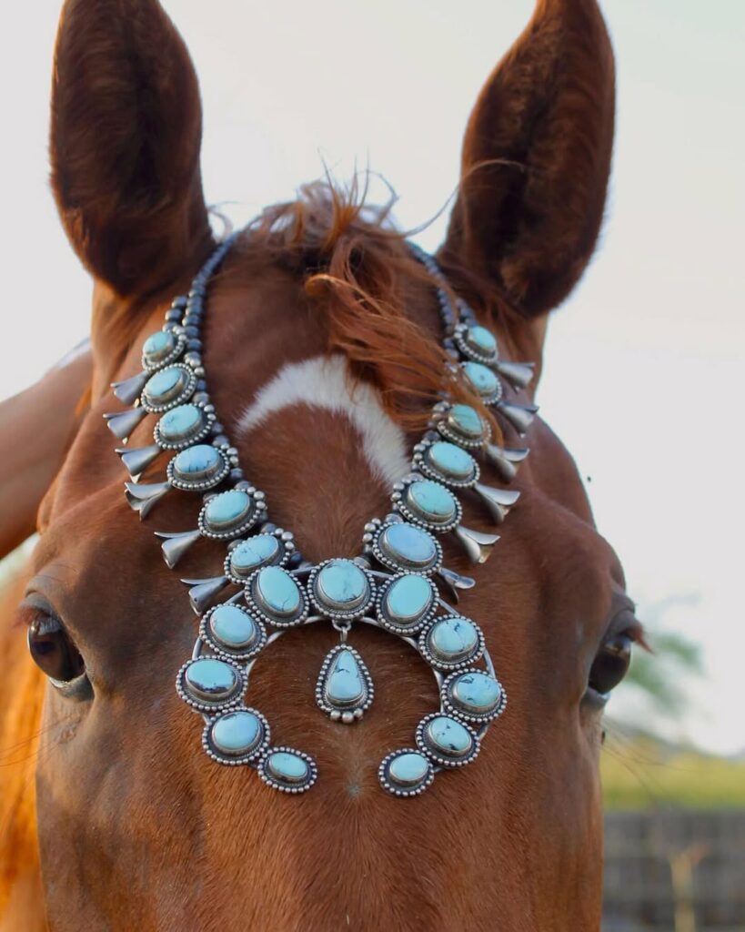 horse with squash blossom necklace on head