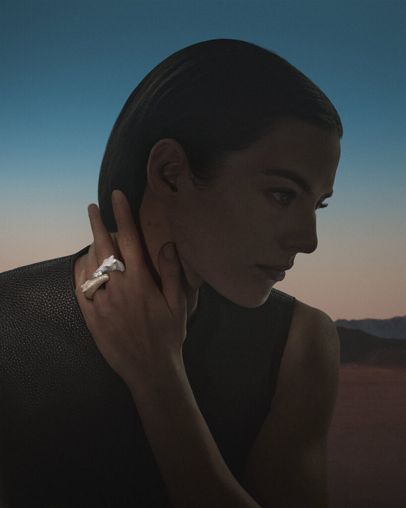 Galop Hermès double ring