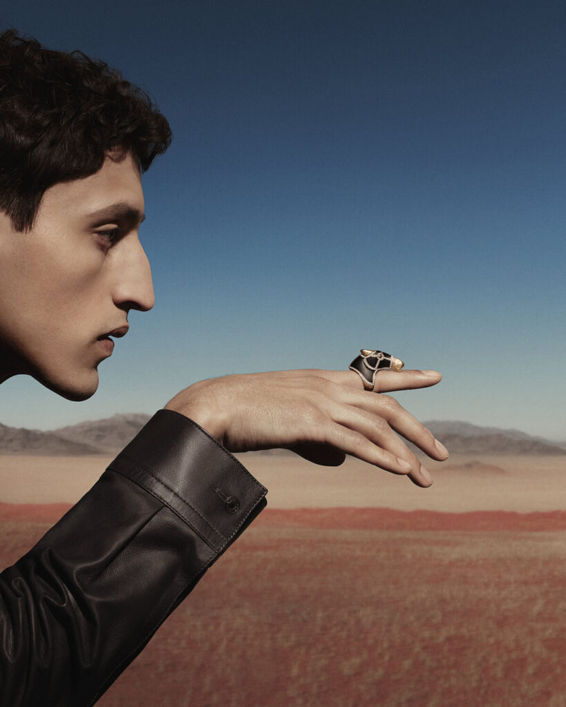 Hermes Apparat Ring in the into the horsecapes collection