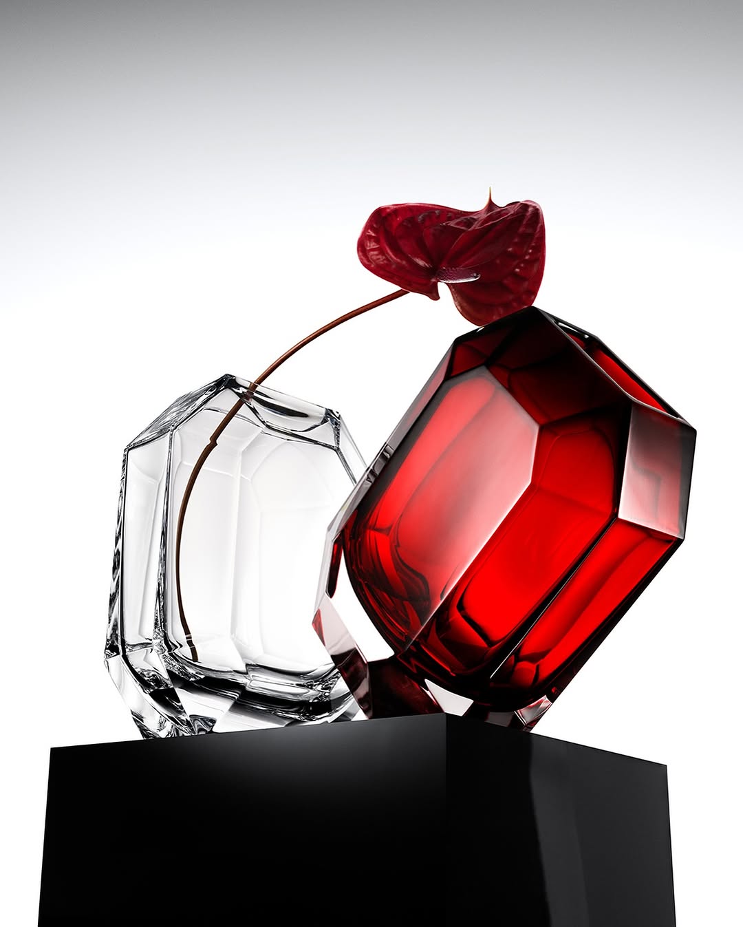 baccarat-crystal-glass-collectors-guide-sewelo