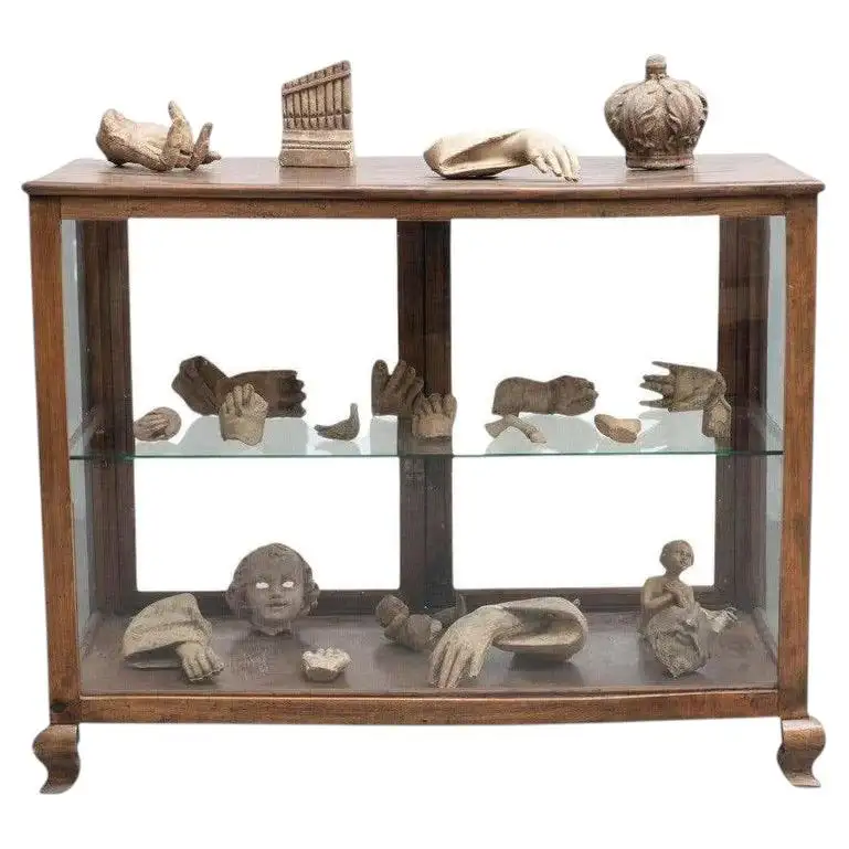 Cabinet of Curiosities Display Sculptural Artwork halloween home decor